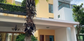 Villa Riviera Compound - An Khanh Ward - Ho Chi Minh City for rent