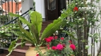 06 Bedrooms private pool house villa for rent at An Khanh-Ho Chi Minh